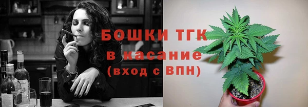 сатива Арсеньев