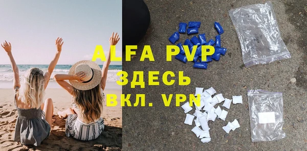 сатива Арсеньев