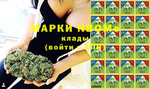 сатива Арсеньев