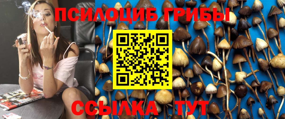 Новодвинск  Галлюциногенные грибы прущие грибы  где купить   Вход с VPN 