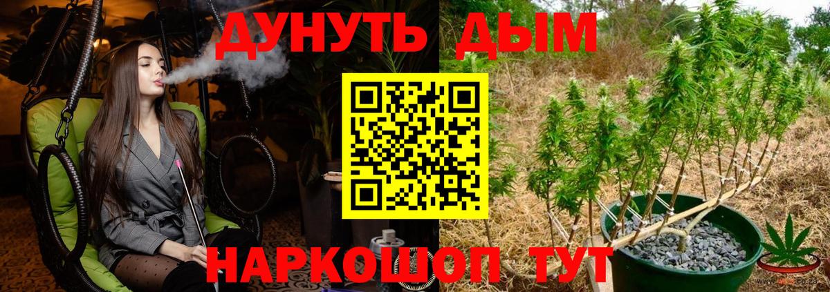 Бошки марихуана VHQ Новодвинск